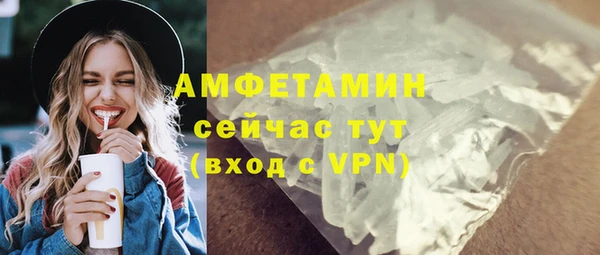 сатива Карпинск