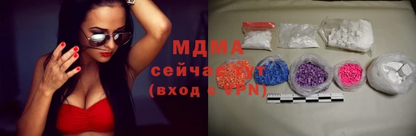 сатива Карпинск