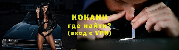 сатива Карпинск