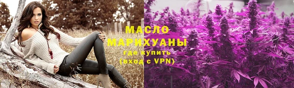 сатива Карпинск