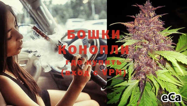 сатива Карпинск