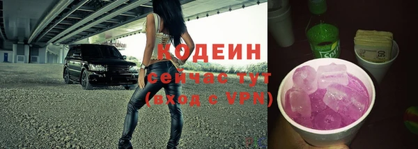 сатива Карпинск
