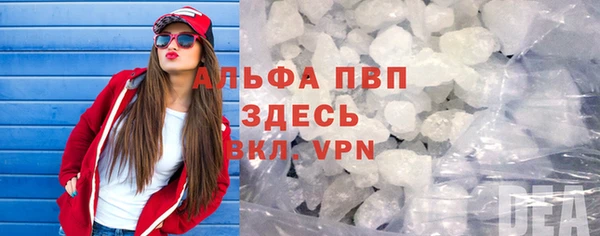 сатива Карпинск
