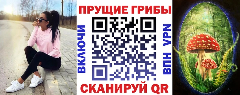 Купить закладки Воткинск Псилоцибиновые грибы MAGIC MUSHROOMS